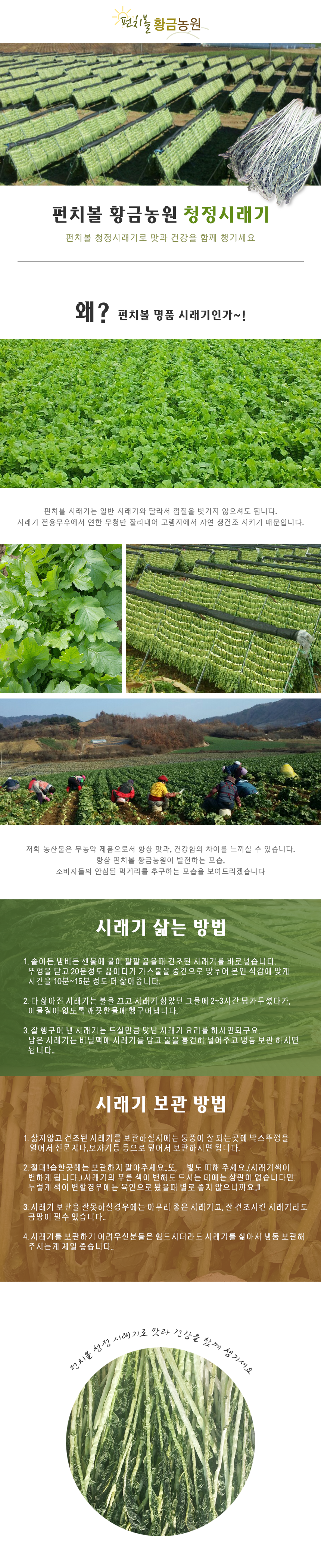 청정 양구 해안펀치볼마을 시래기 펀치볼황금농원 시래기 고랭지 자연 생건조 무농약 시래기